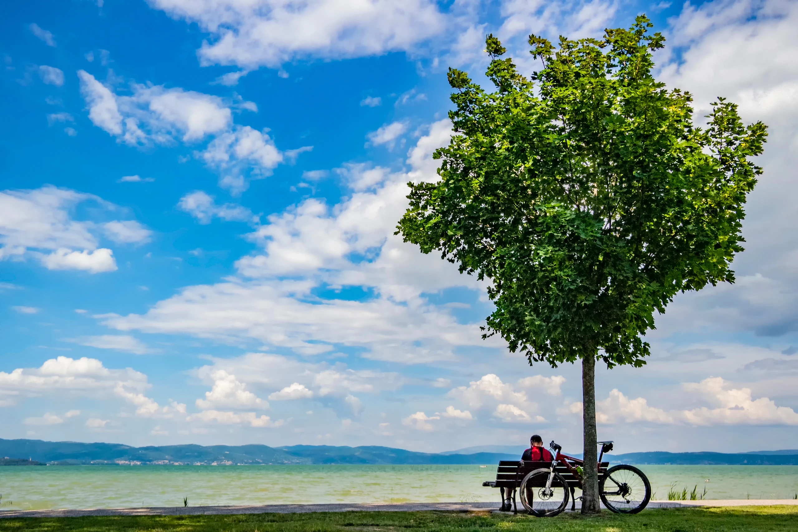Italiens schönster Radweg führt am Trasimeno-See entlang