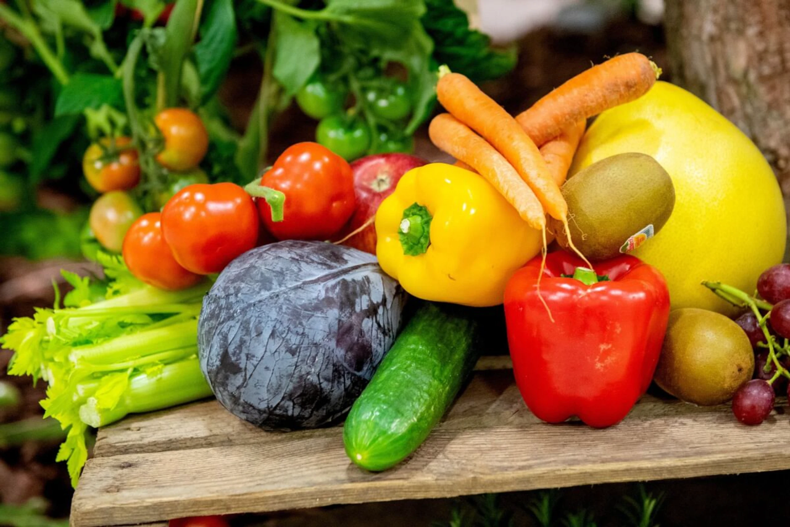 Obst und Gemüse stecken voller Vitamine und Mineralstoffe