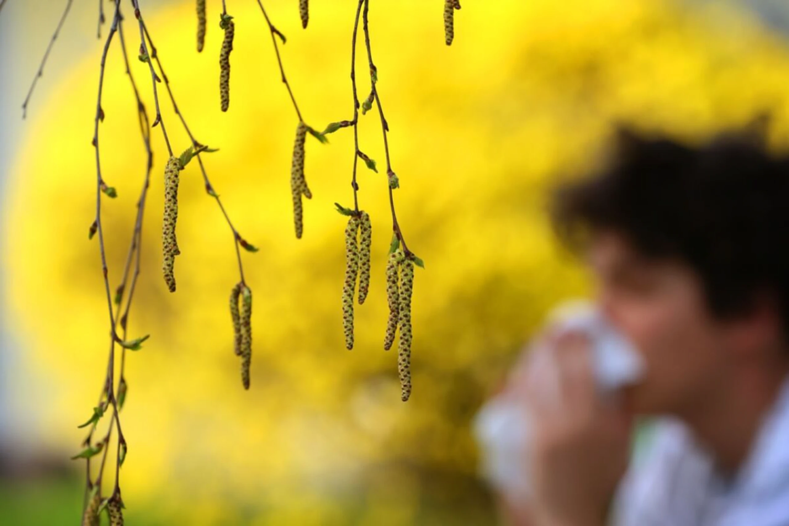 Neben Heuschnupfen und Pollen machen den meisten Tiere zu schaffen