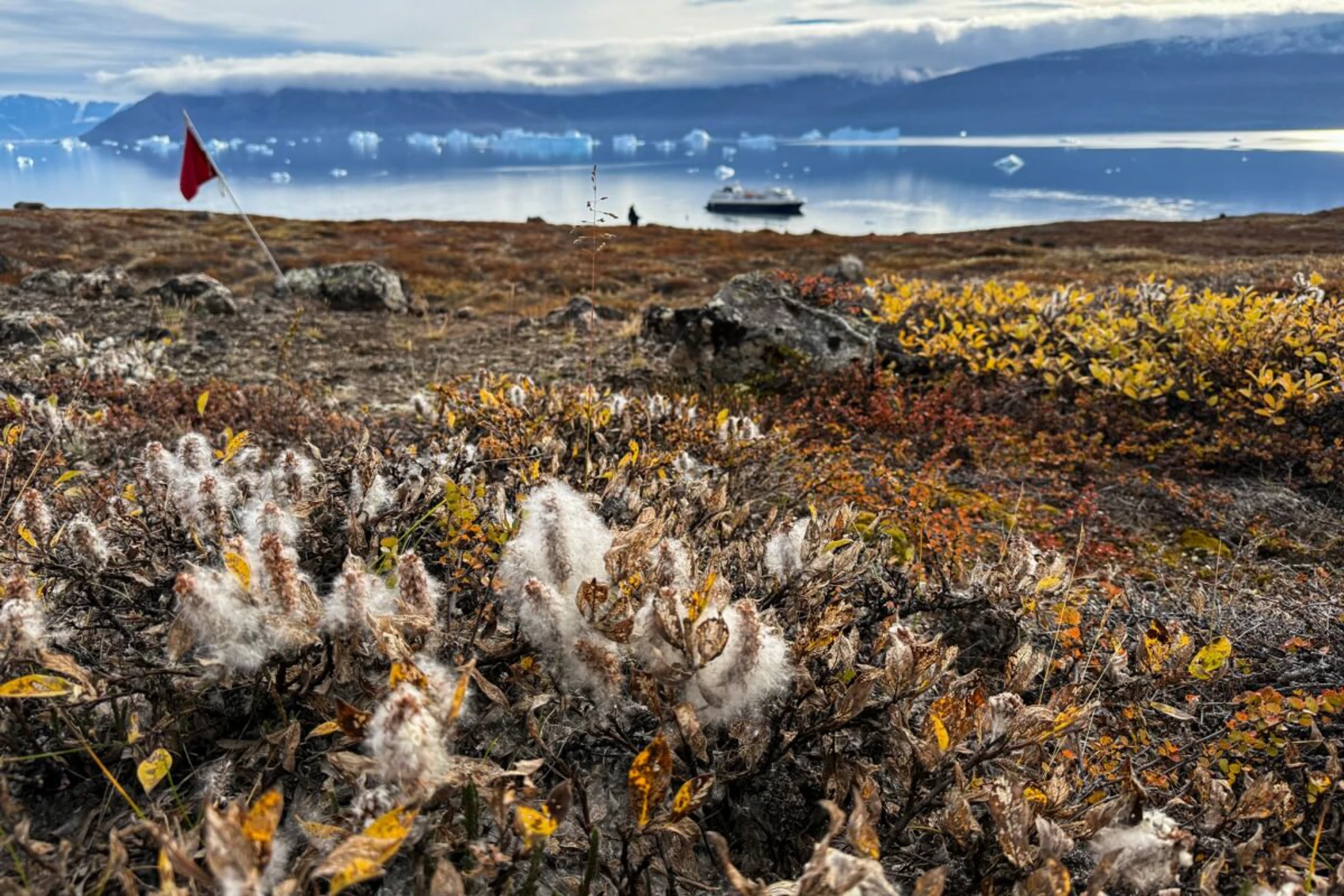 ++ ARCHIVBILD ++ Herbst-Tundra im Harefjord: Die Landschaft ist überraschend farbenfroh