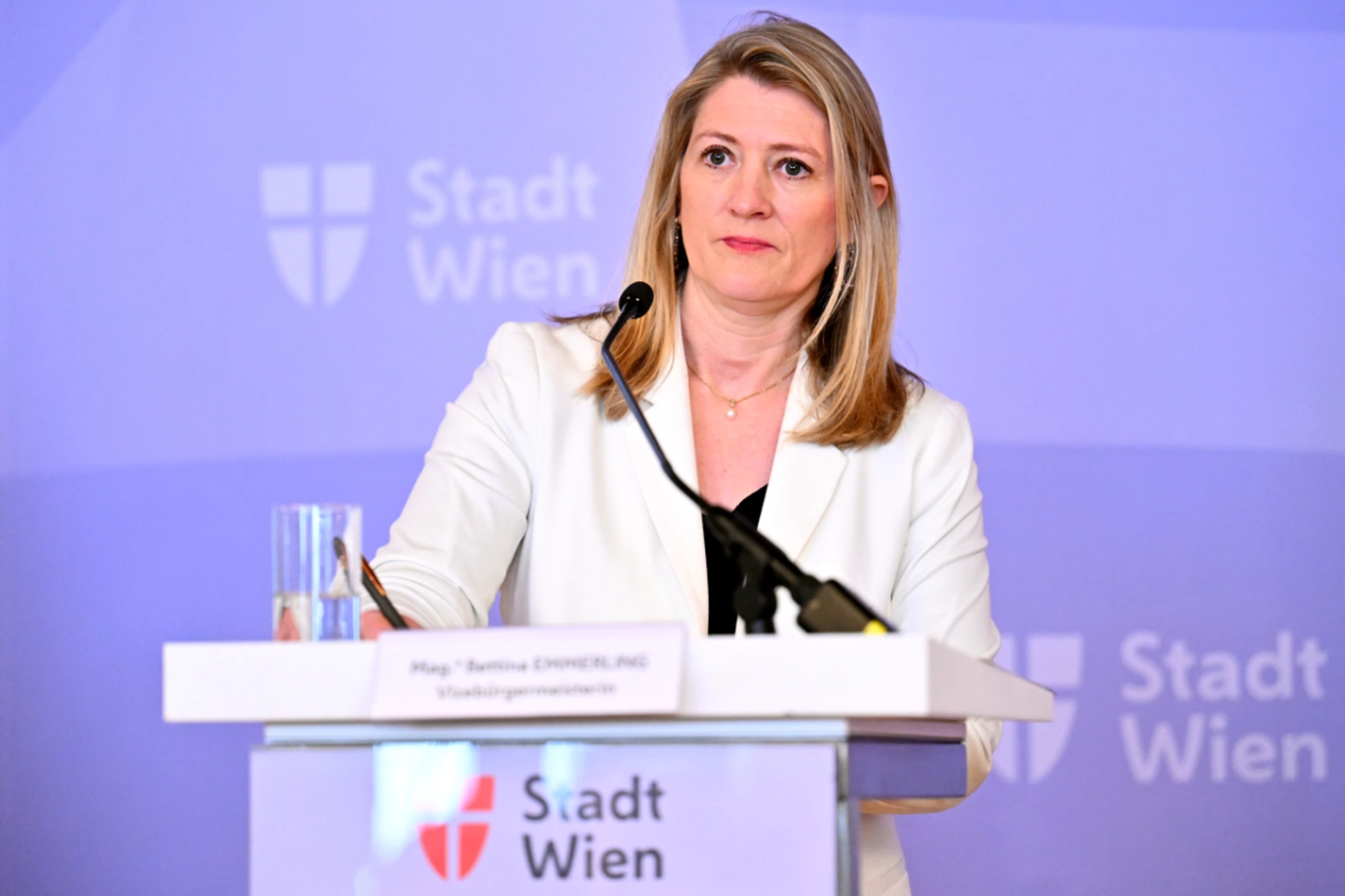 Emmerling hat das Projekt im Frühjahr präsentiert