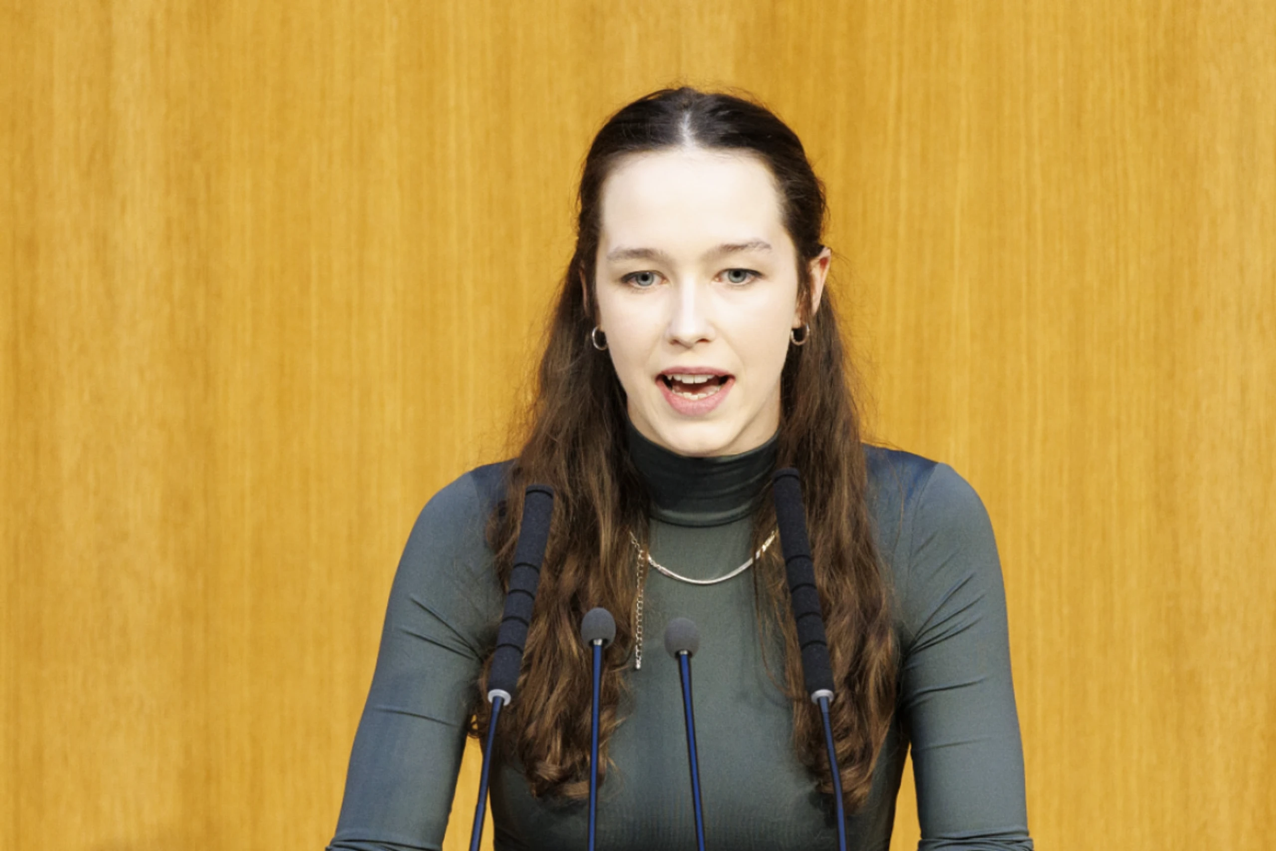 Die grüne EU-Abgeordnete fordert ein starkes ETS