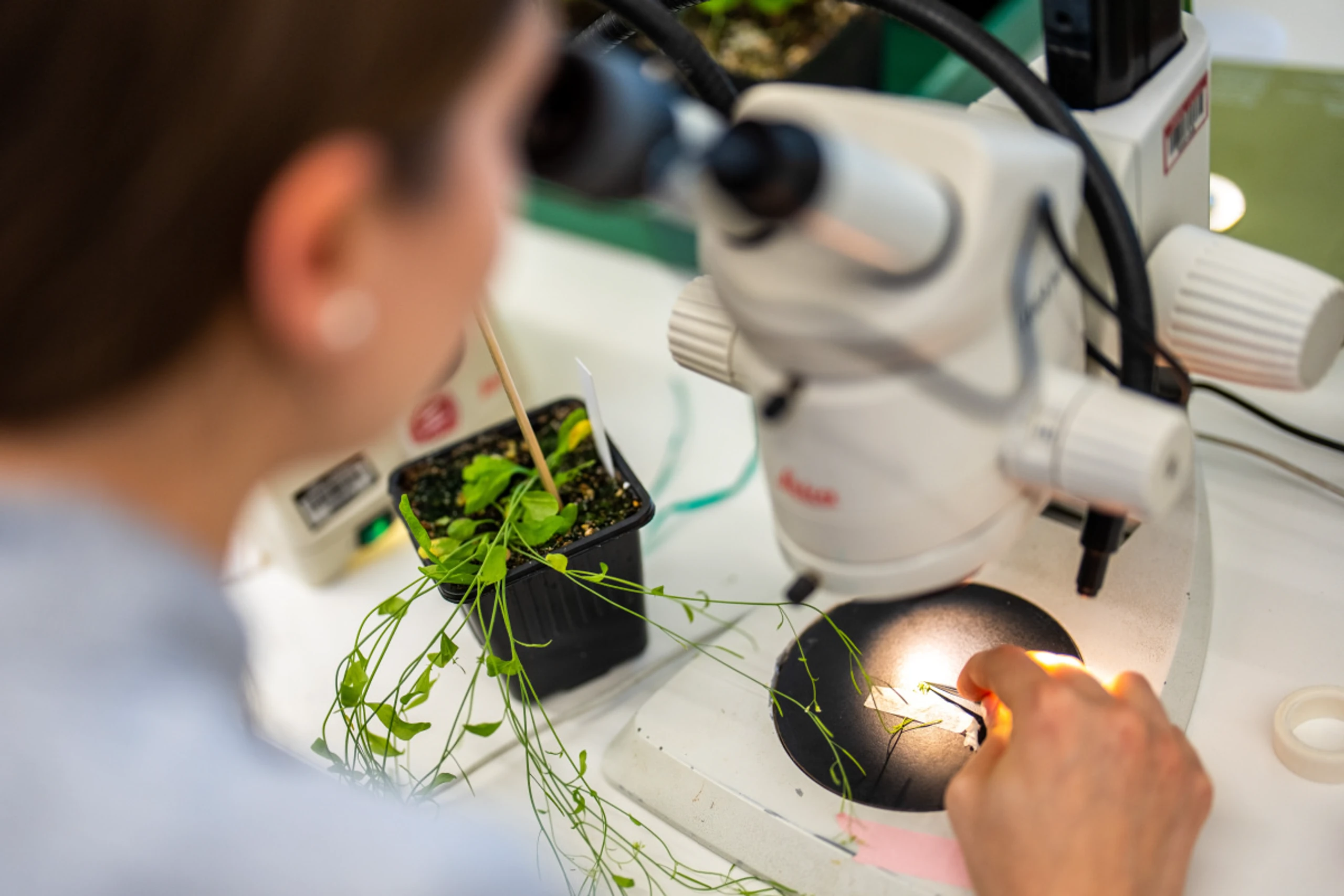Wenn man Wissenschaft unterbindet, leidet das Wirtschaftswachstum