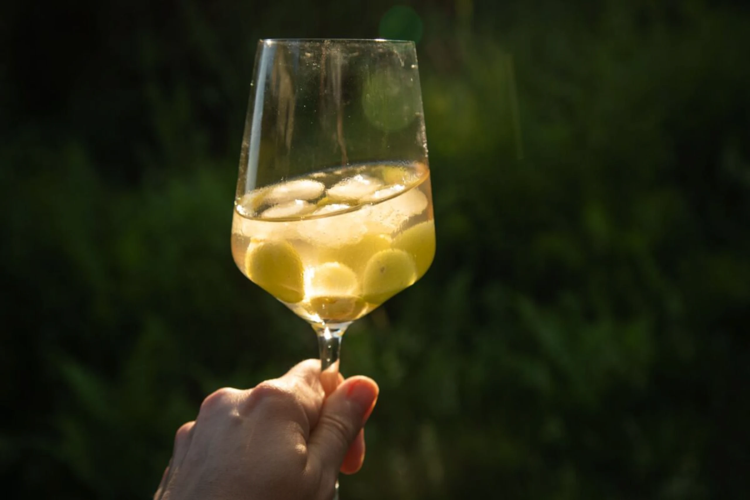 Eiswürfel aus Trauben und gefrorenem Wein kühlen einen Weißwein