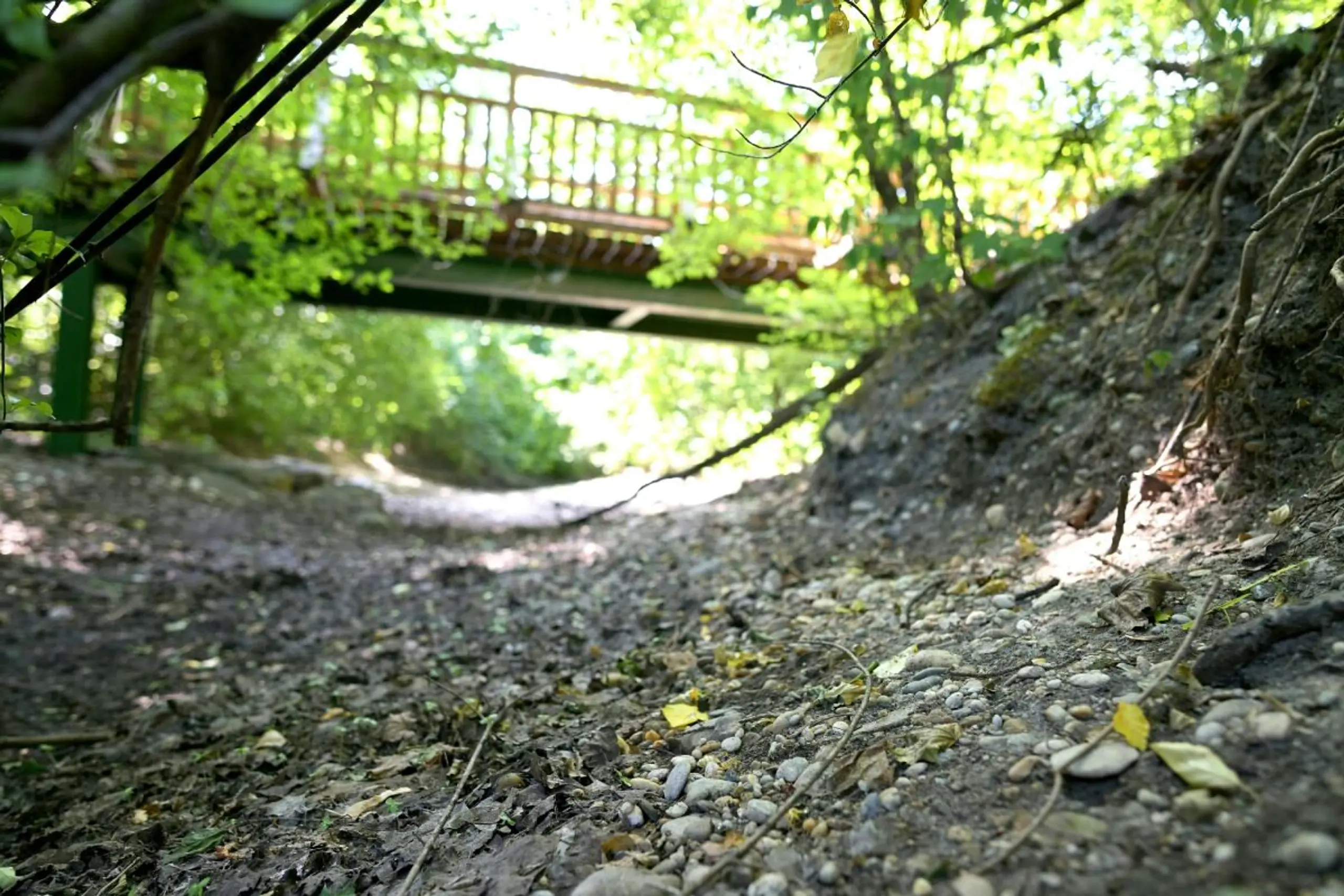 In der Unteren Lobau in Wien ist die Dürre sehr sichtbar