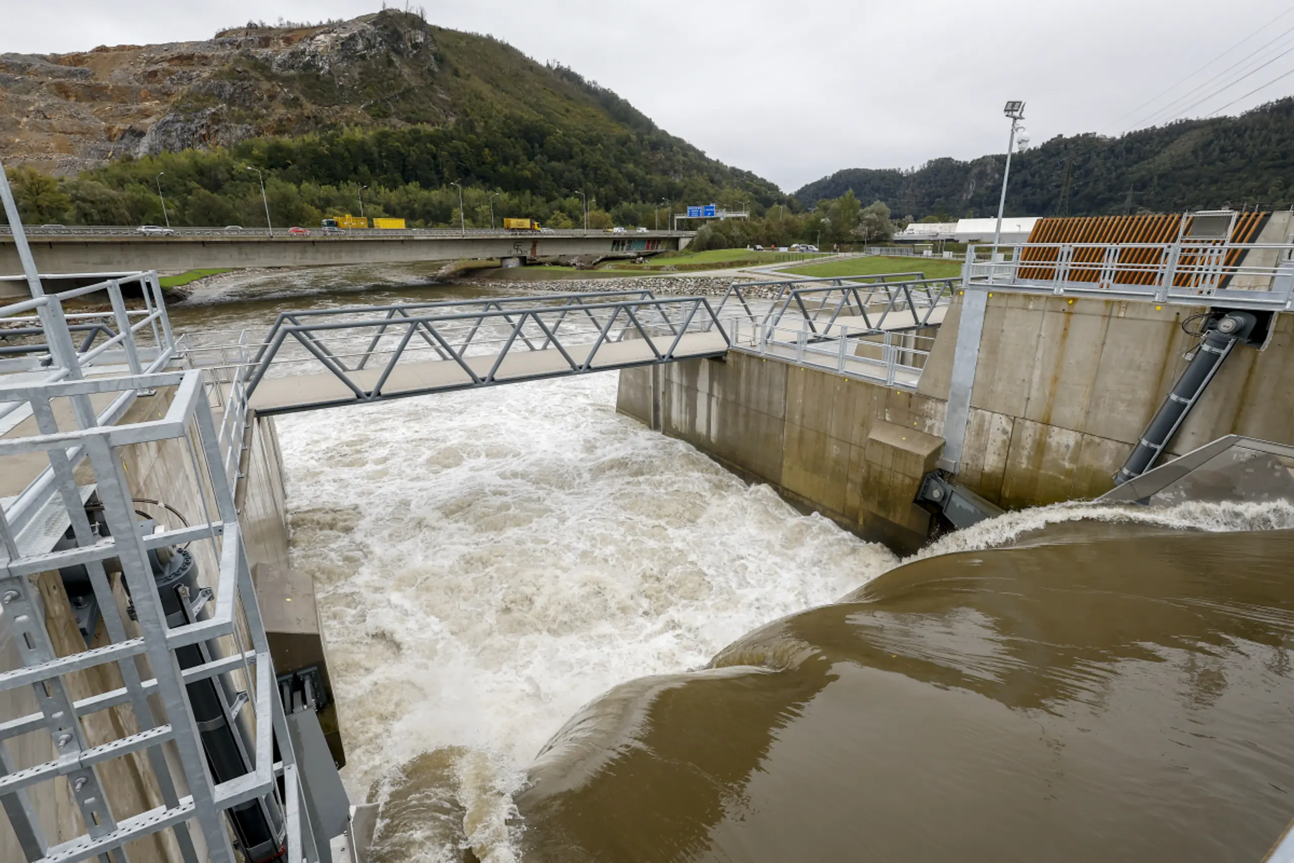 Das Heben und Senken des Wasserspiegels bereitet Fischen Probleme
