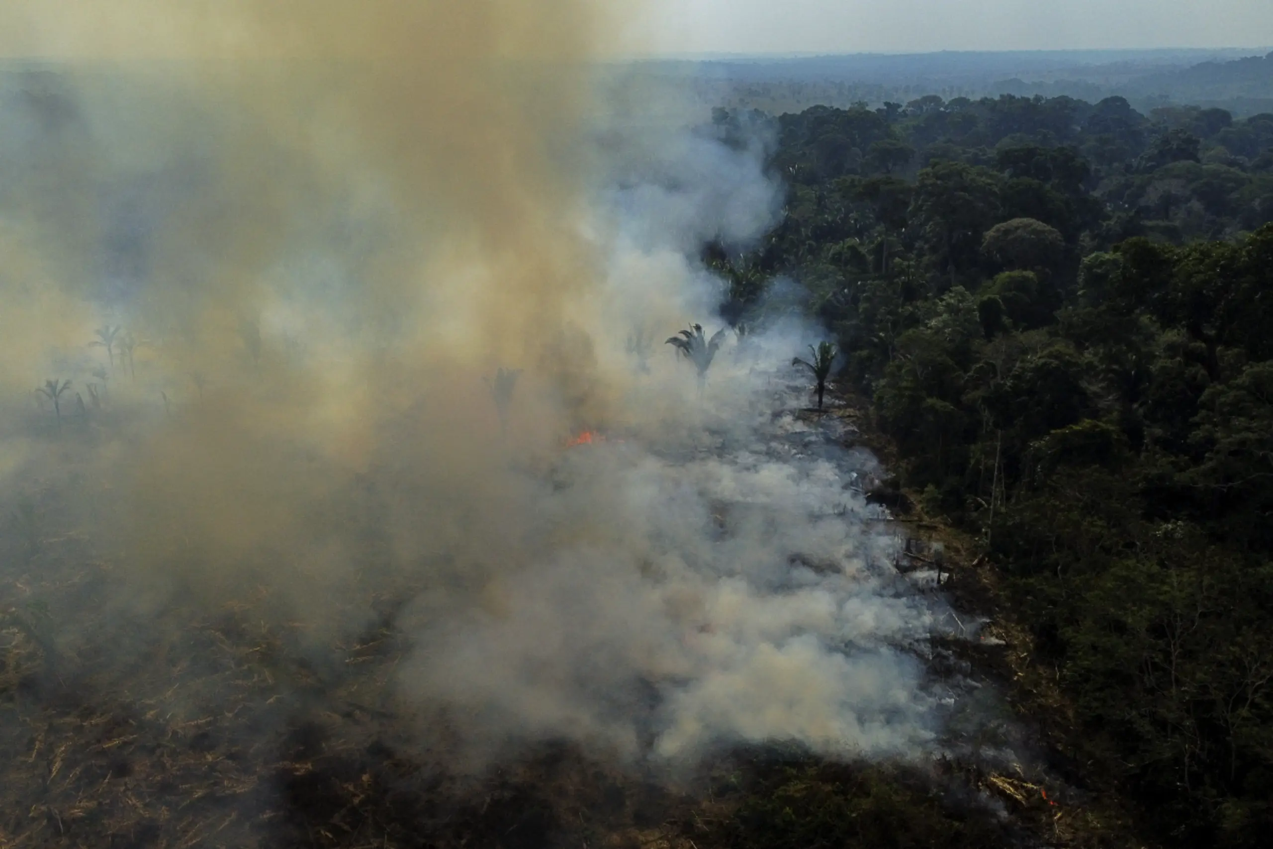 Im Amazonas wüteten 2025 weniger Feuer