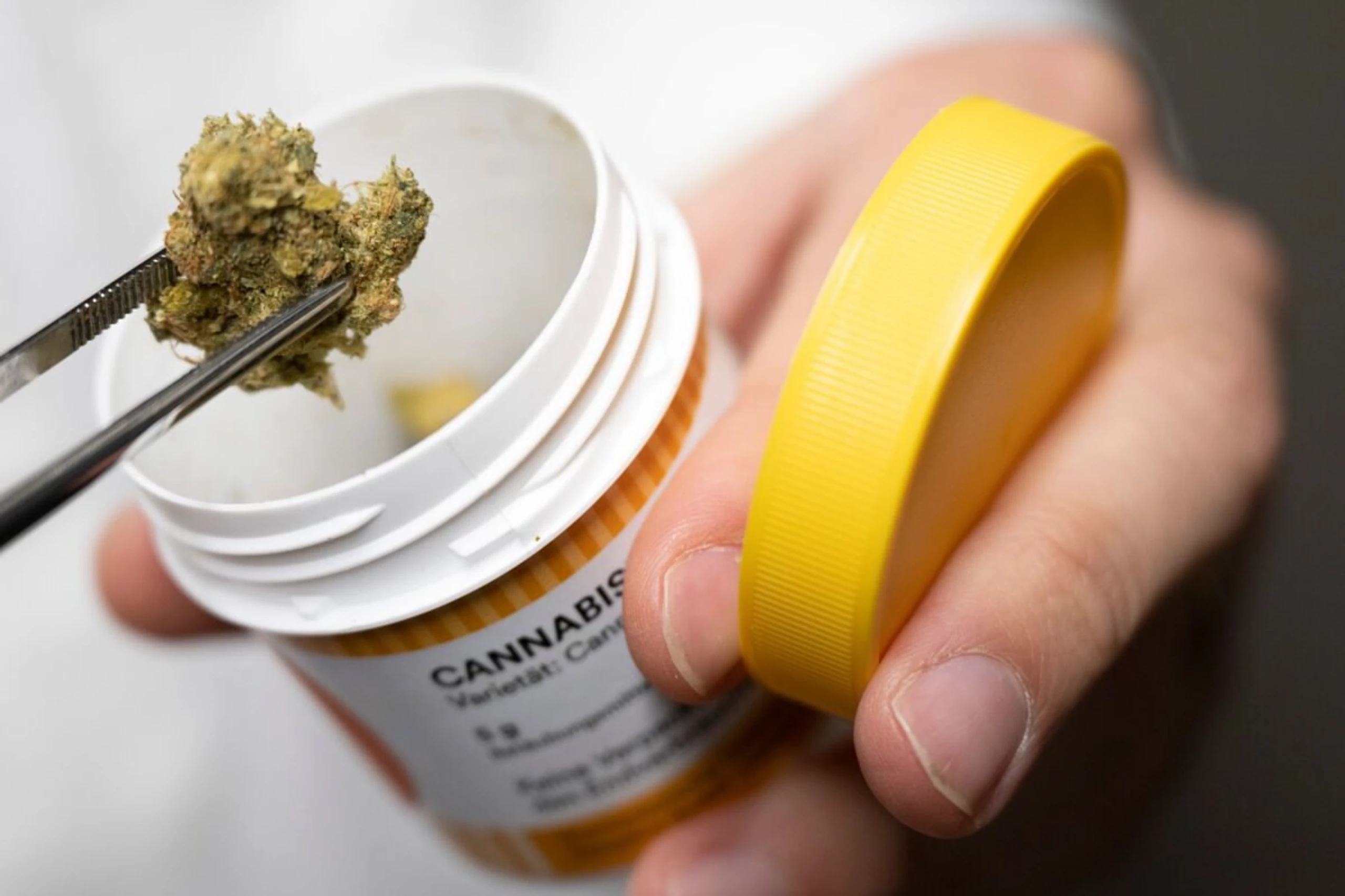 ++ ARCHIVBILD ++ Möglicherweise Umstieg auf hochpotentes Cannabis verantwortlich