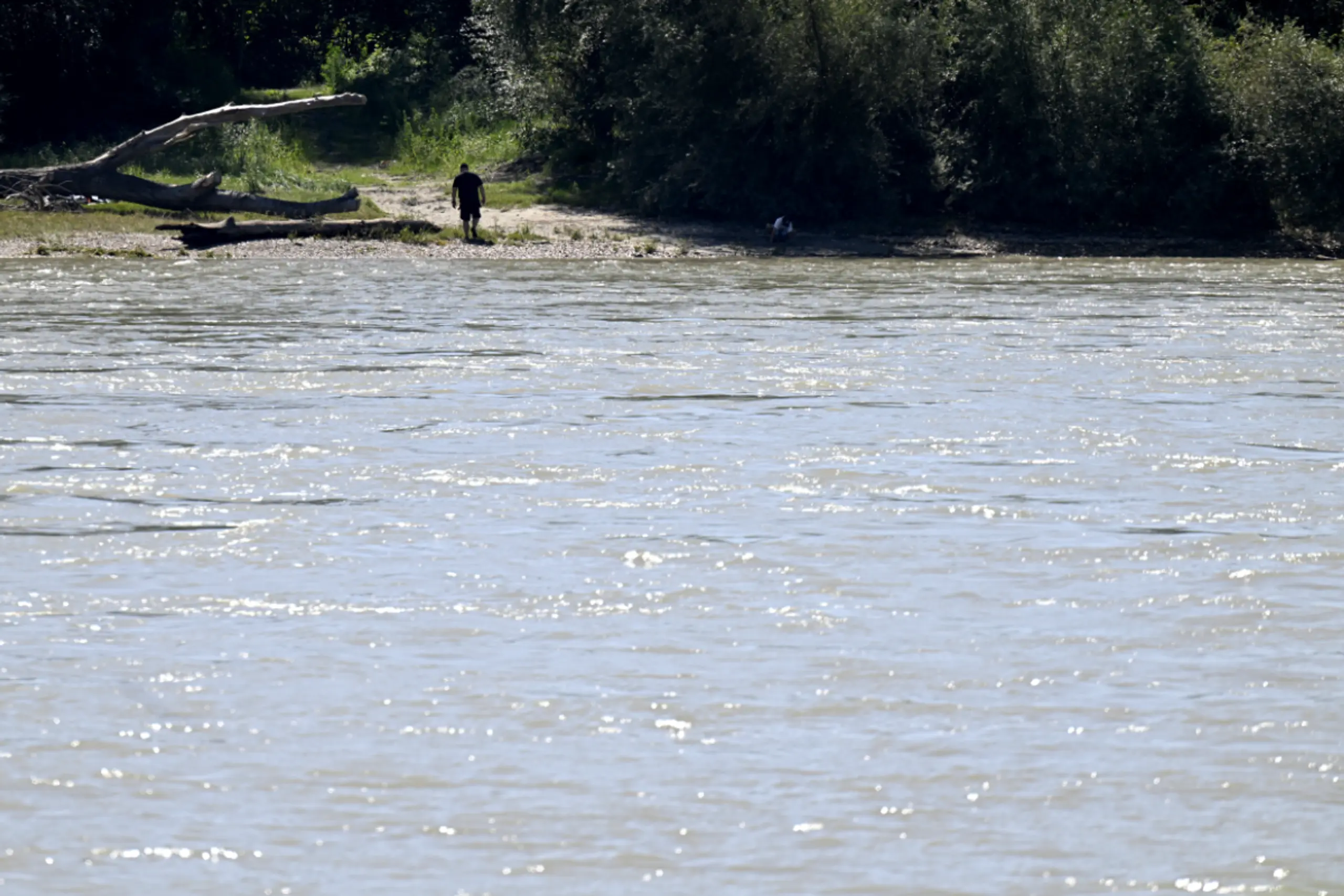 Rund 500 Bodentiere im Flusssystem der Donau erhoben