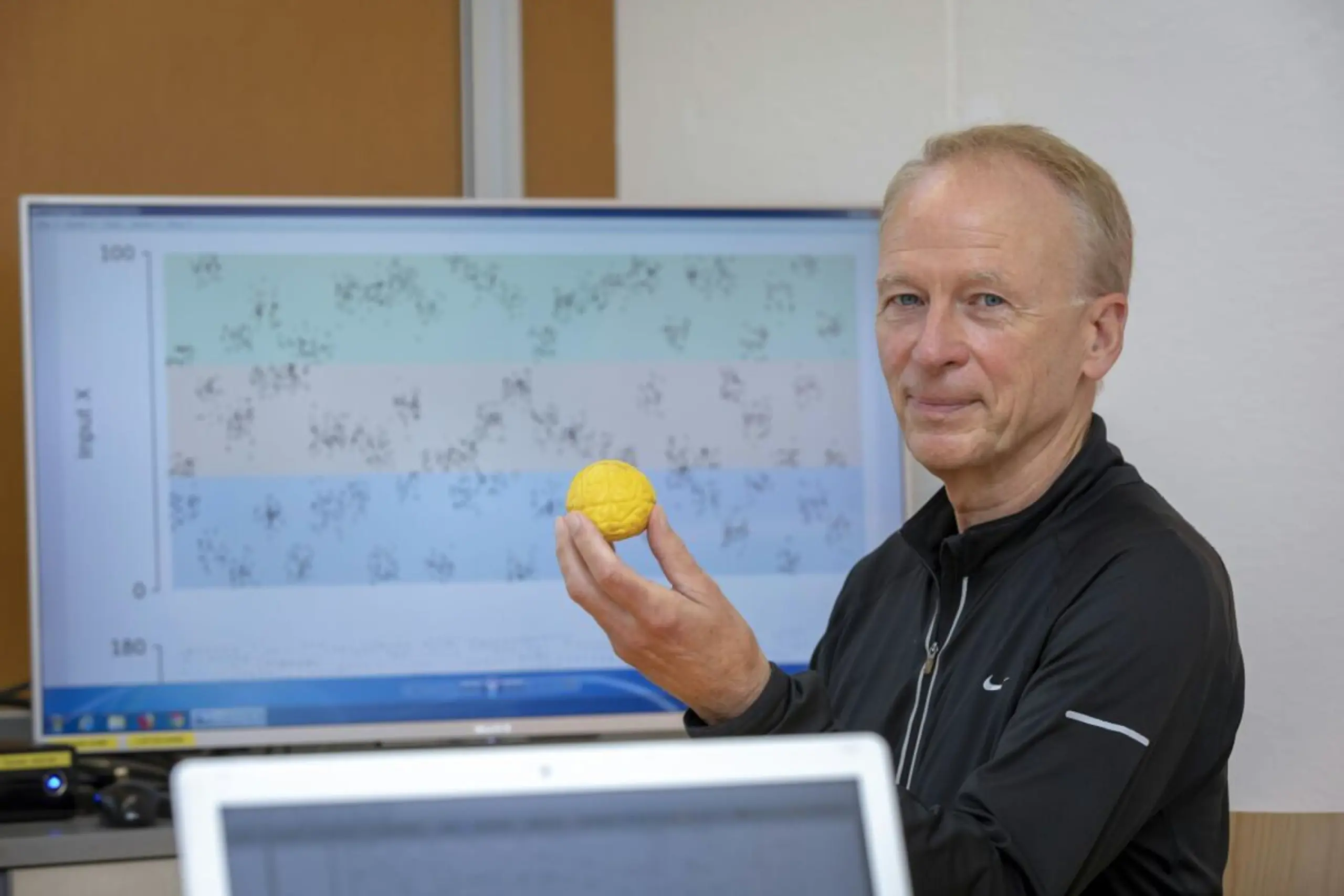 Wolfgang Maass vom Institute of Machine Learning and Neural Computation der TU Graz