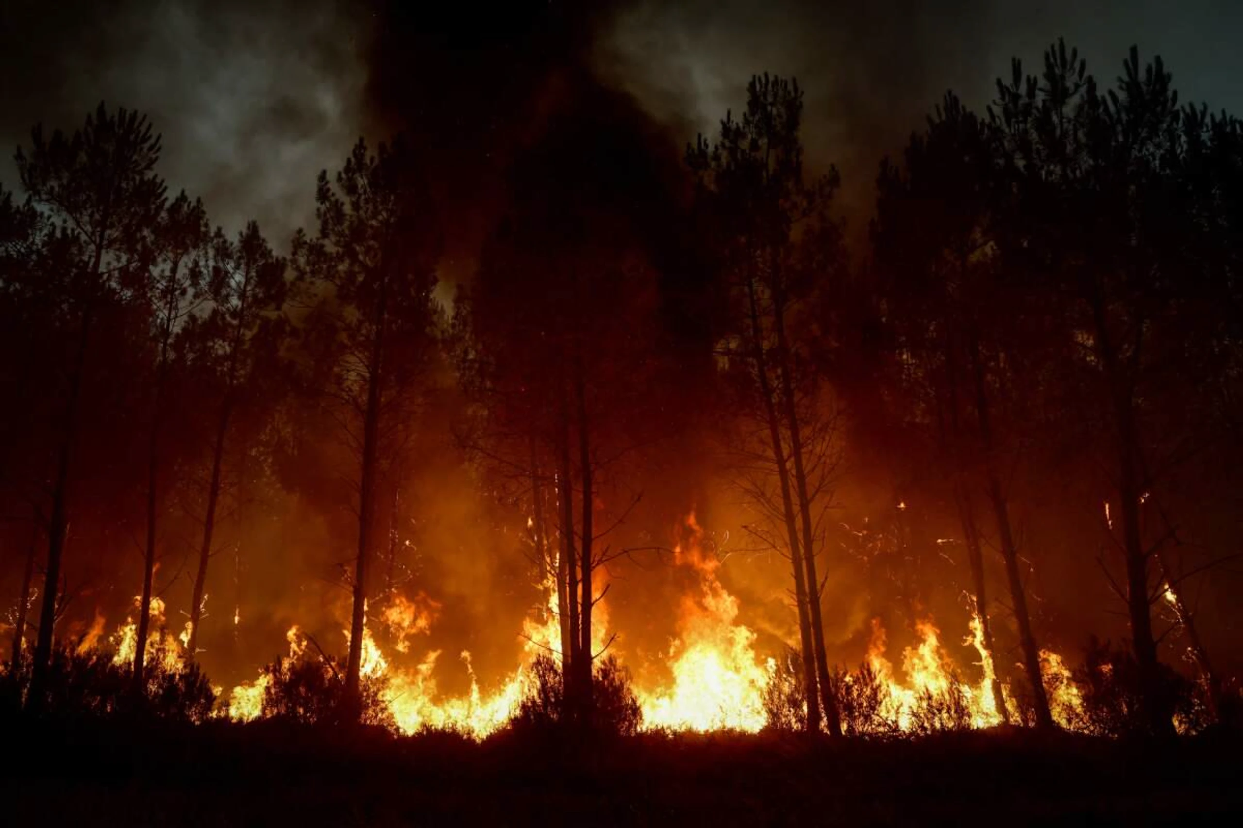 Zahl der Sommertage mit hohem Waldbrandrisiko in Südeuropa verdoppelt