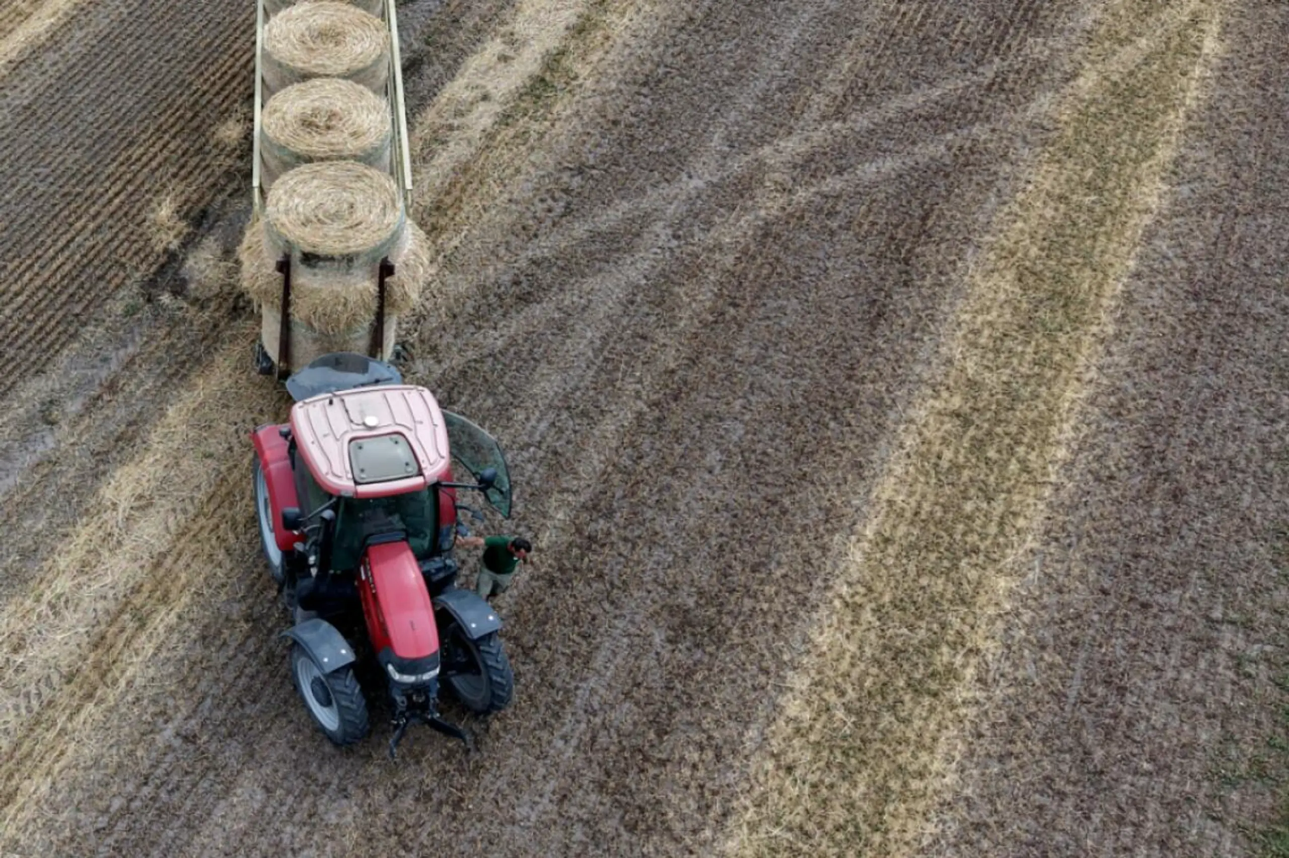 Getreideernte in Höhe von 2,5 Mio. Tonnen ohne Mais