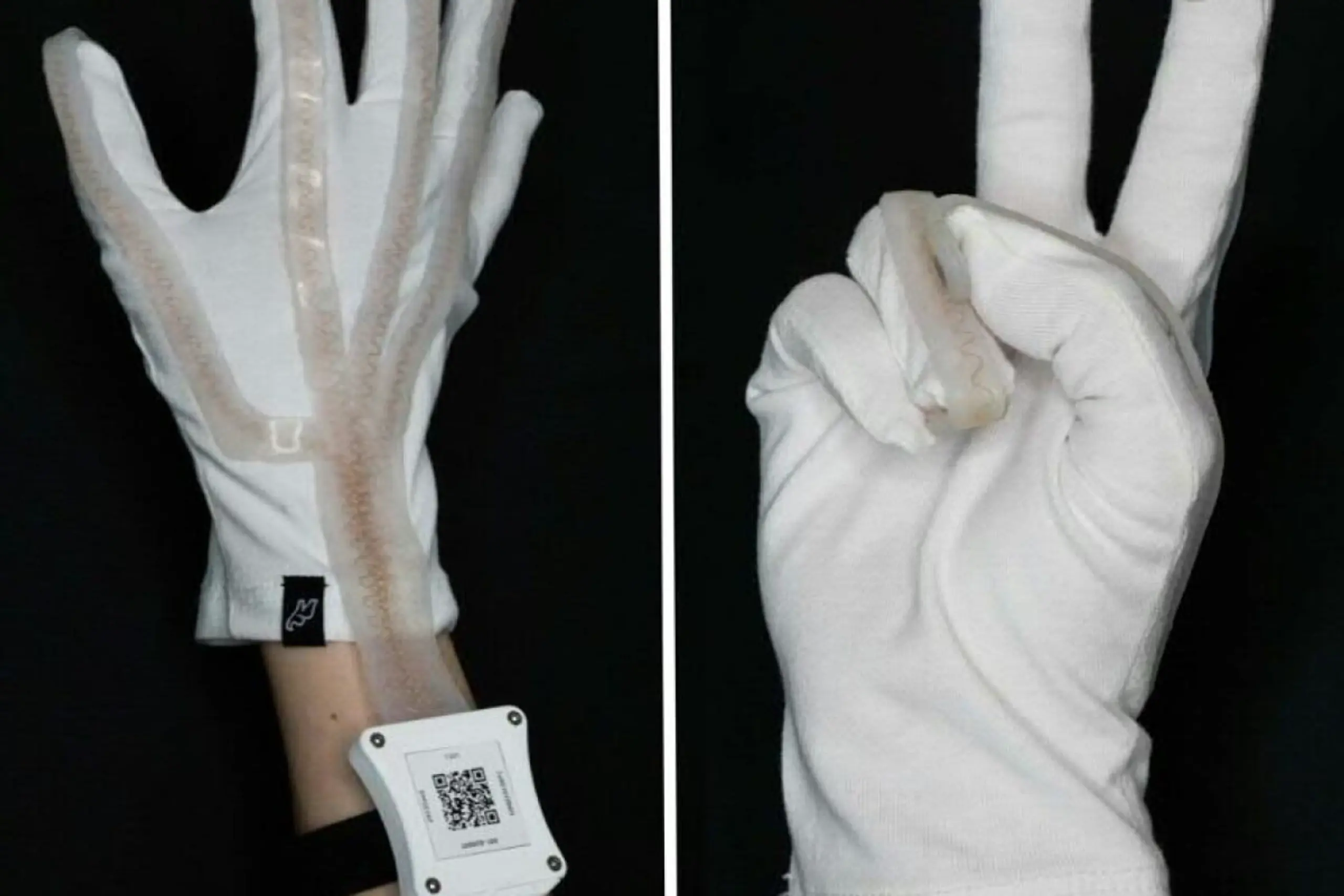 Linzer Forschende stellen Technologie in Fachjournal "Science Advances" vor