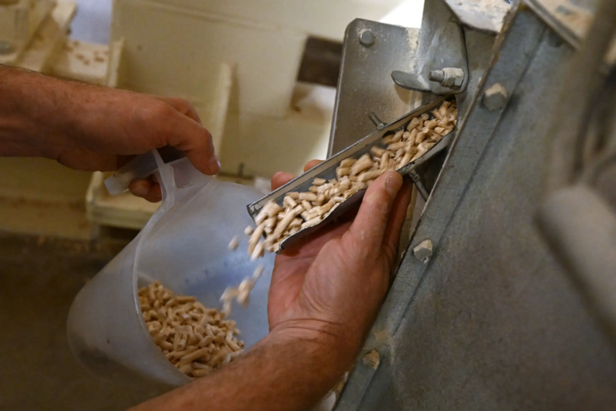 Holzpellets um fast ein Drittel teurer