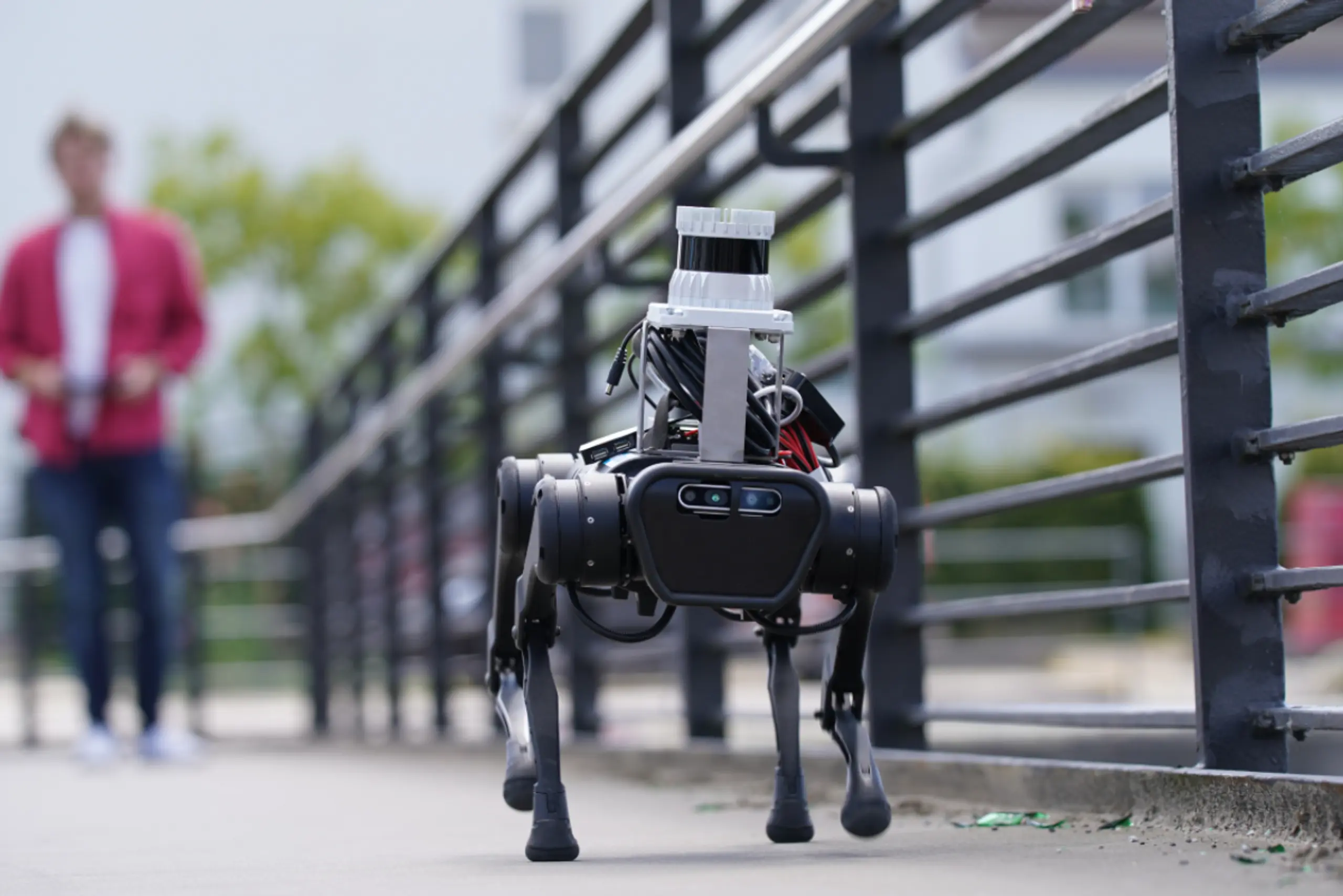 Robohunde kommen in klar strukturierten Umgebungen schon gut zurecht