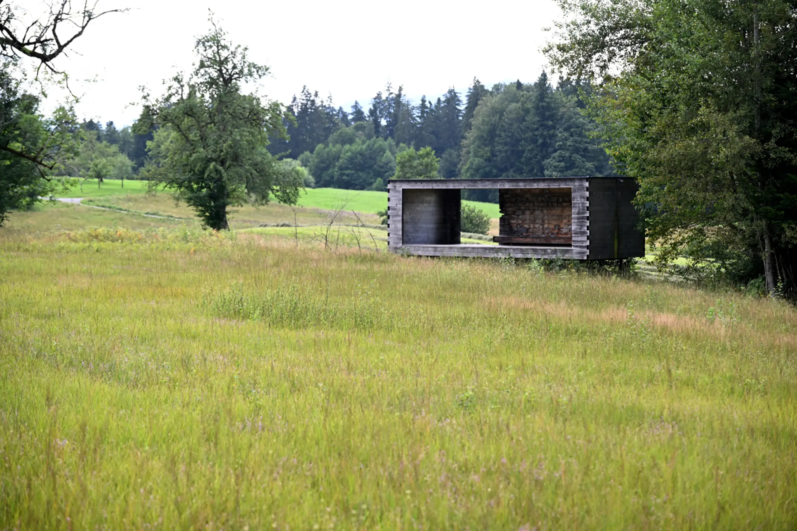 Im Bregenzerwald wird auch traditionell viel mit Holz gebaut