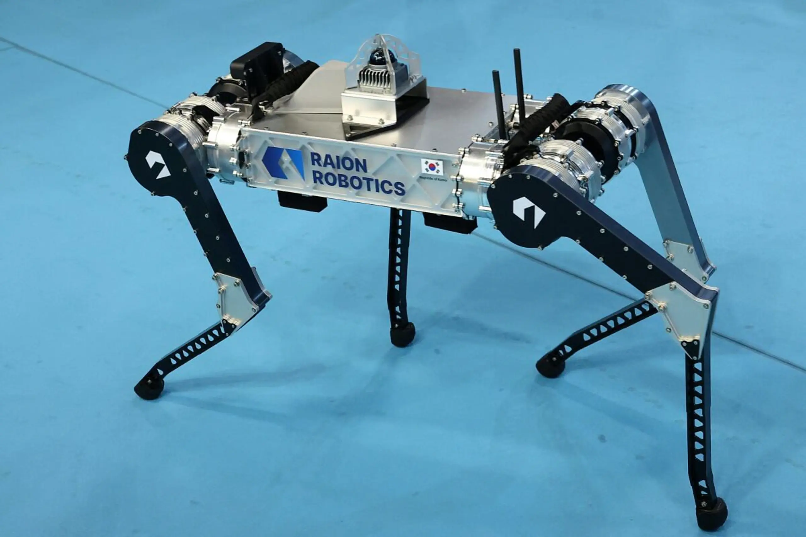 "Raibo2" übertrumpfte andere vierbeinige Roboter