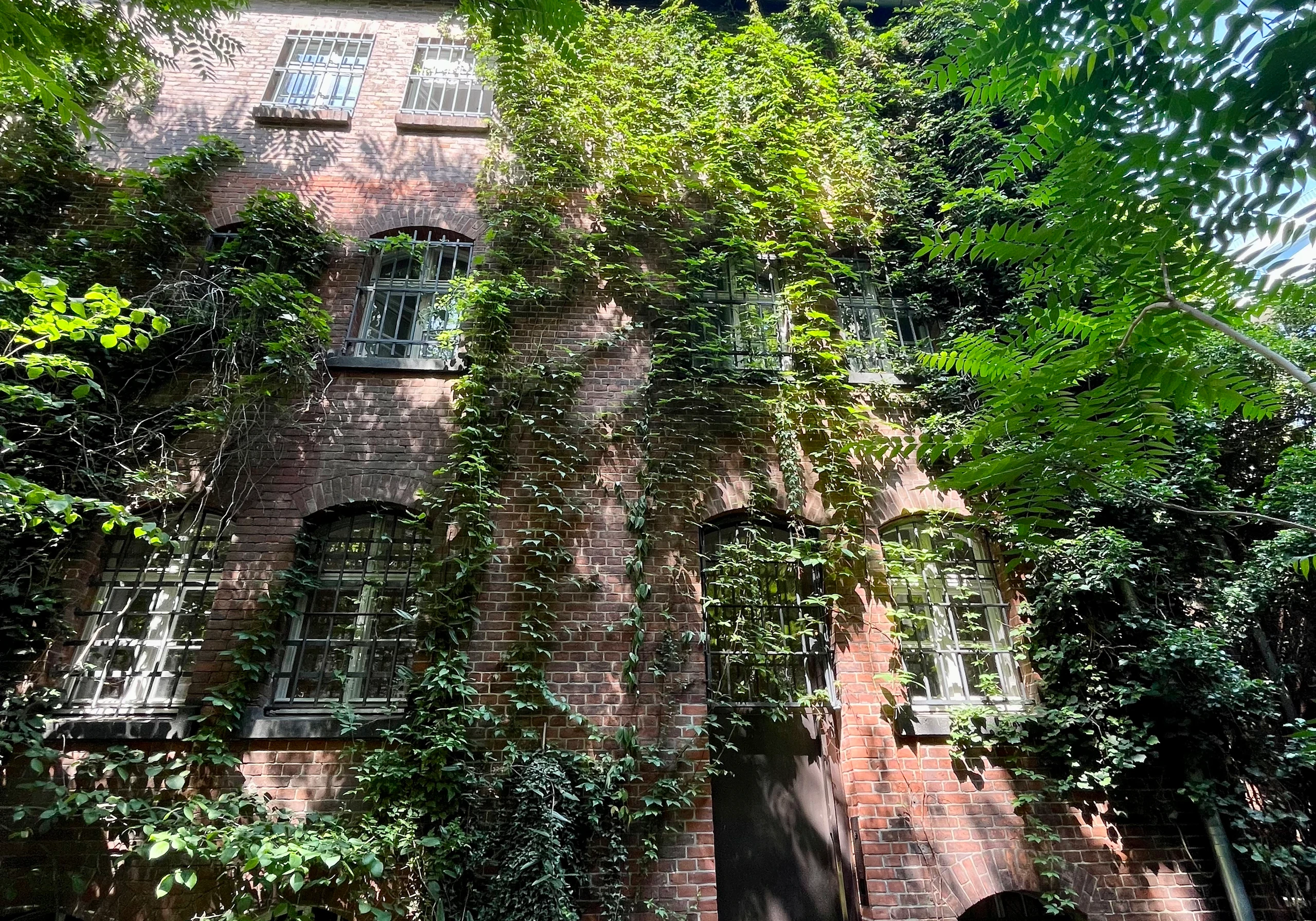 Berlin-Wannsee und das Hotel Wilmina – Bild 11 von 33