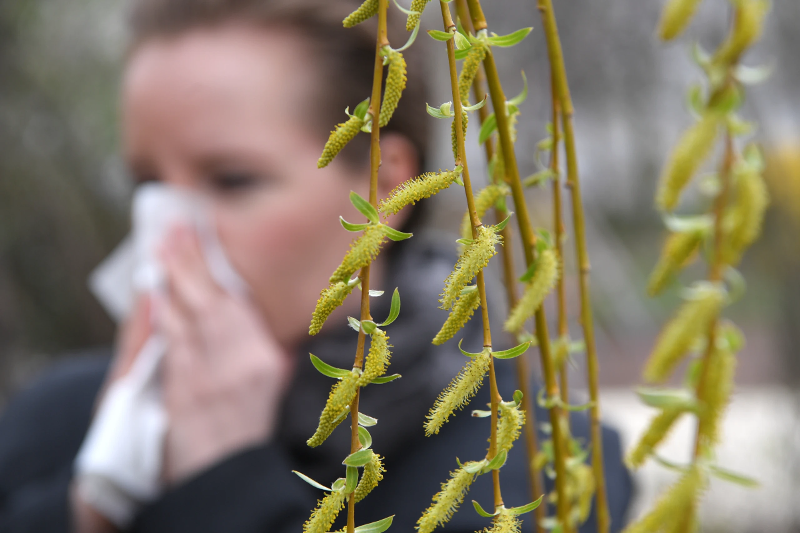Pollen sind für erwachsene Allergiker öfter das Problem als für Kinder