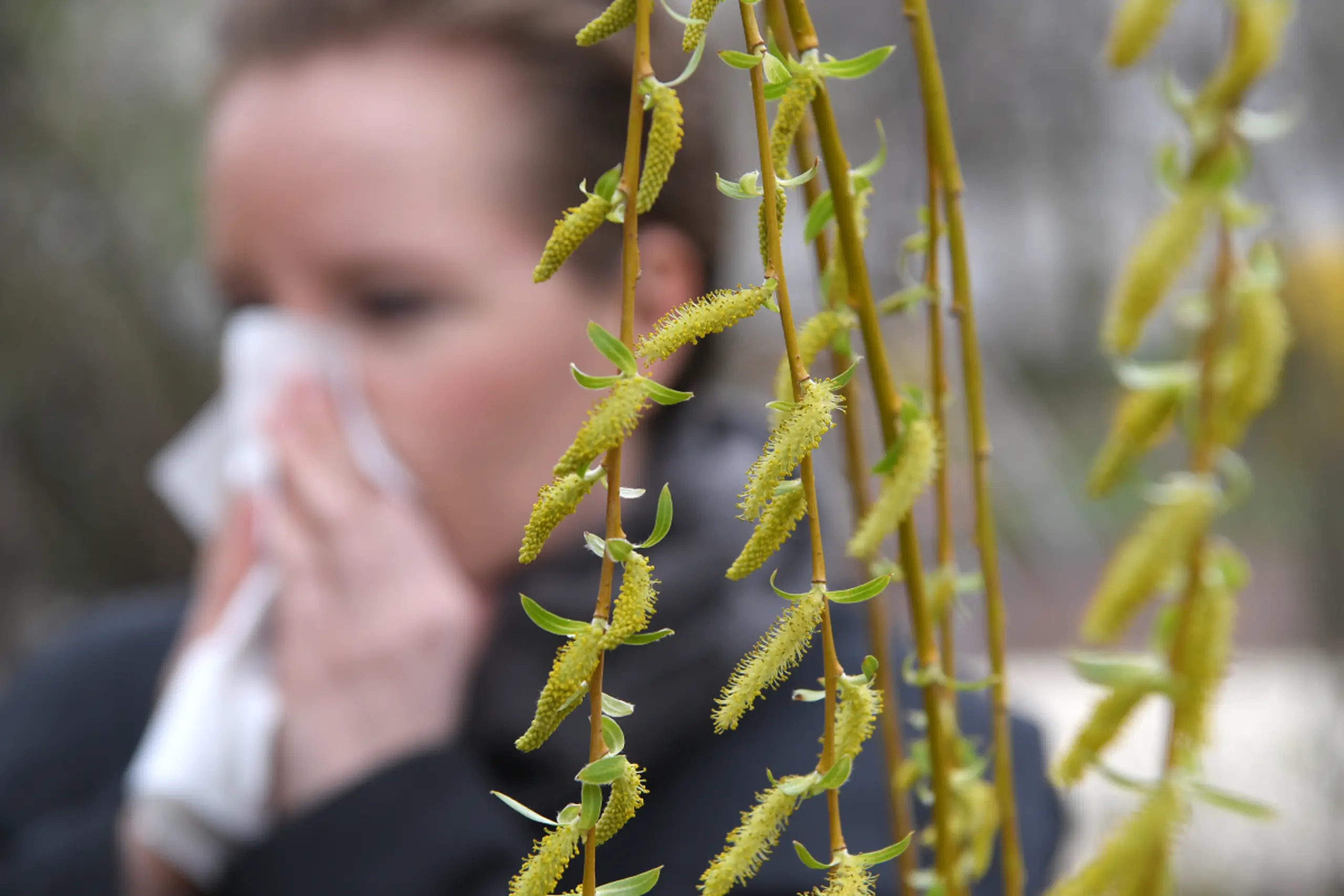 Pollen sind für erwachsene Allergiker öfter das Problem als für Kinder