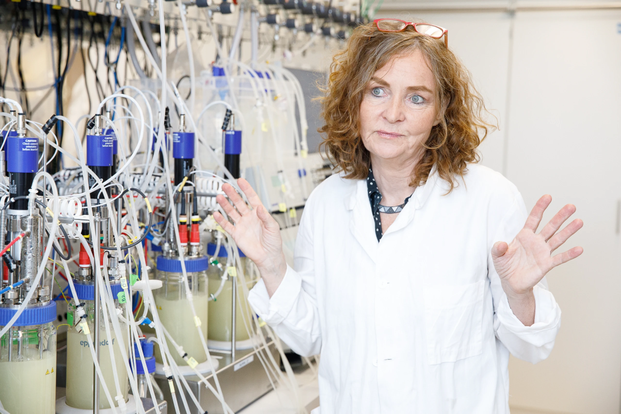 Die Wiener Biologin Christa Schleper