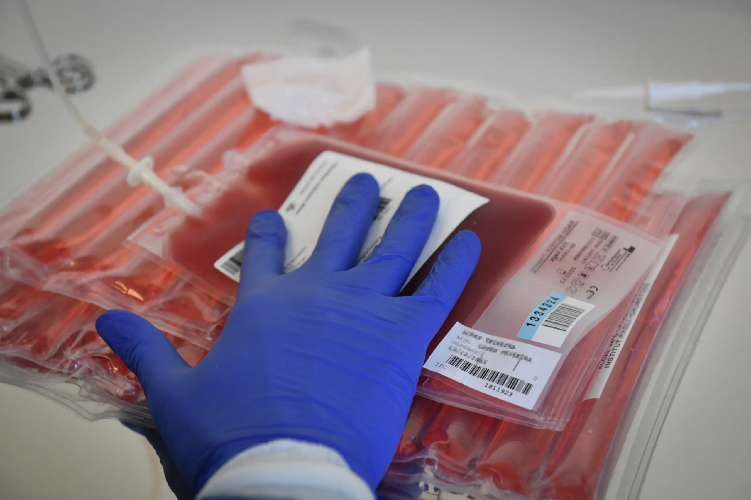 T-Zellen aus patienteneigenem Blut werden modifiziert