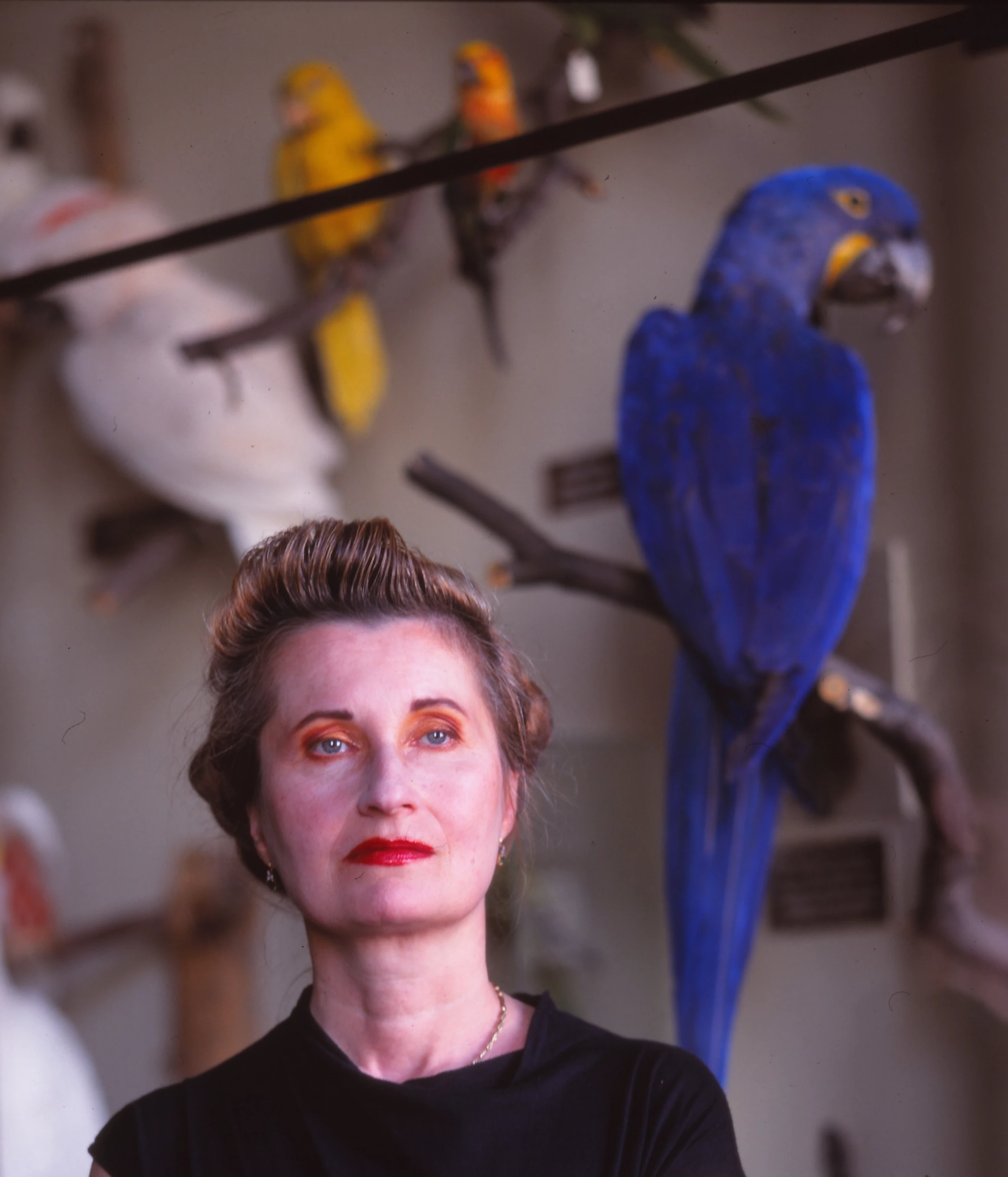 Elfriede Jelinek by Martin Vukovits – Bild 3 von 15