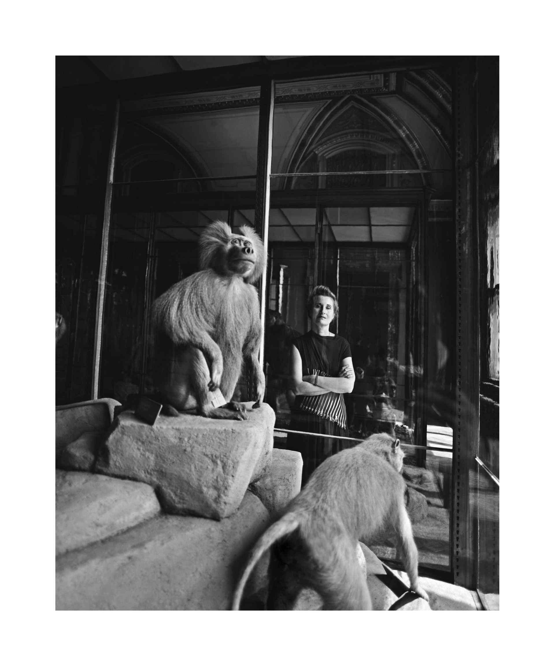Elfriede Jelinek by Martin Vukovits – Bild 10 von 15