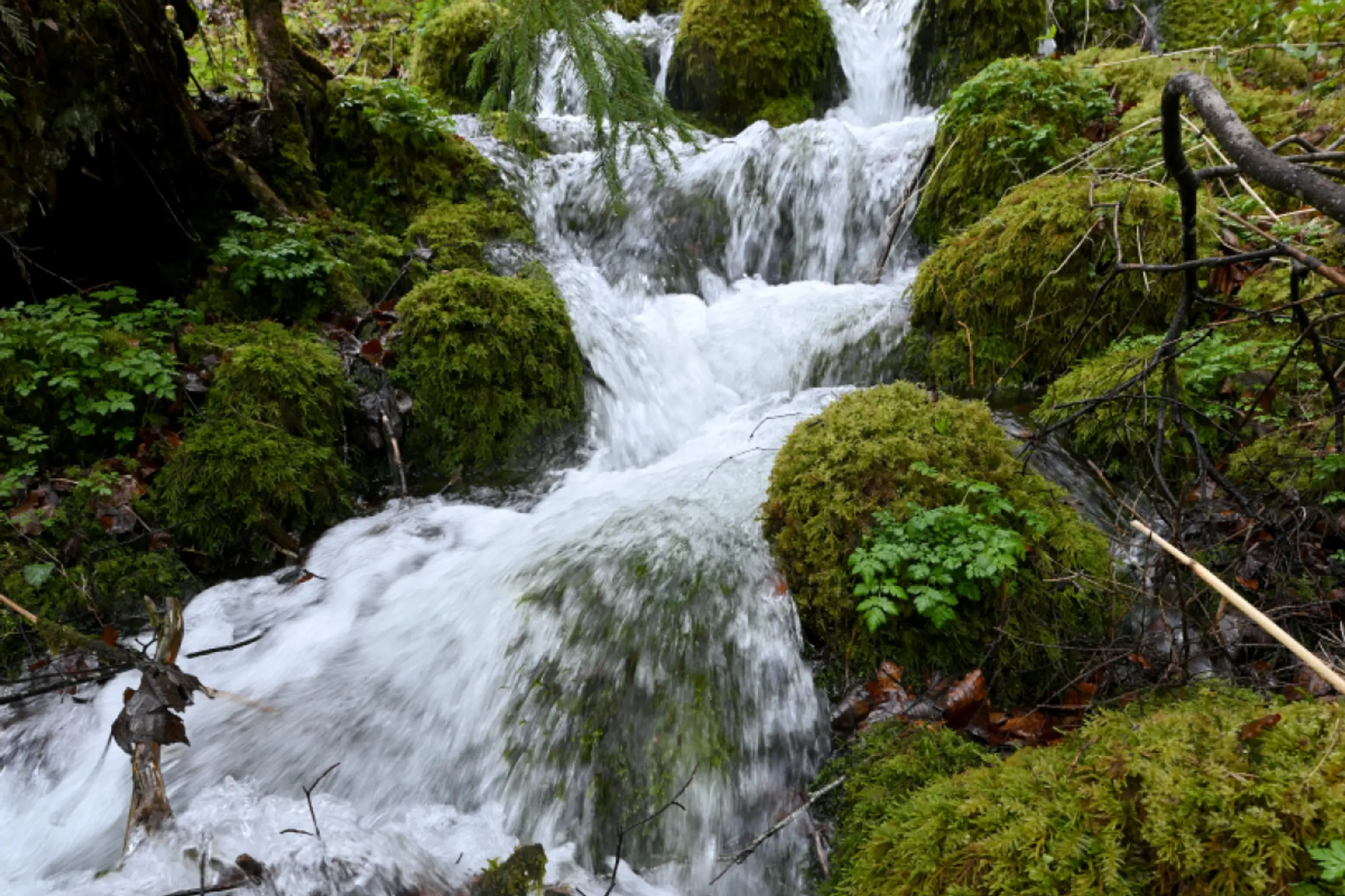 Die Versorgung mit Wasser braucht auch Investitionen
