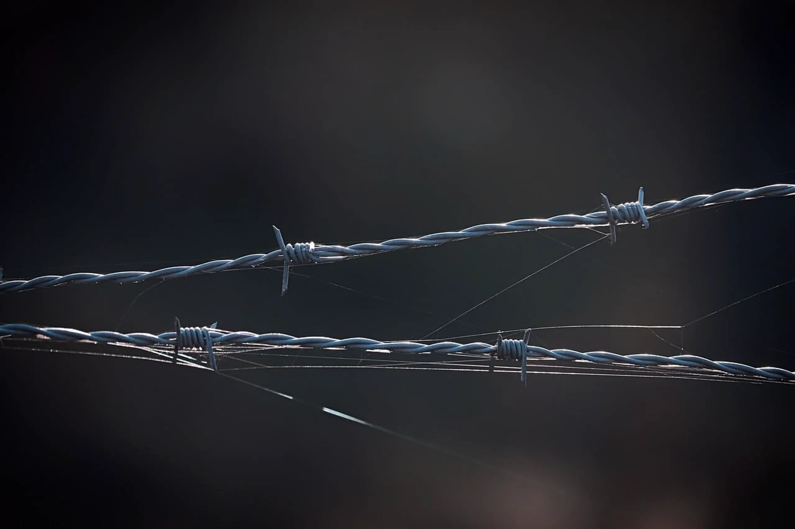 Stacheldraht vor dunklem Hintergrund