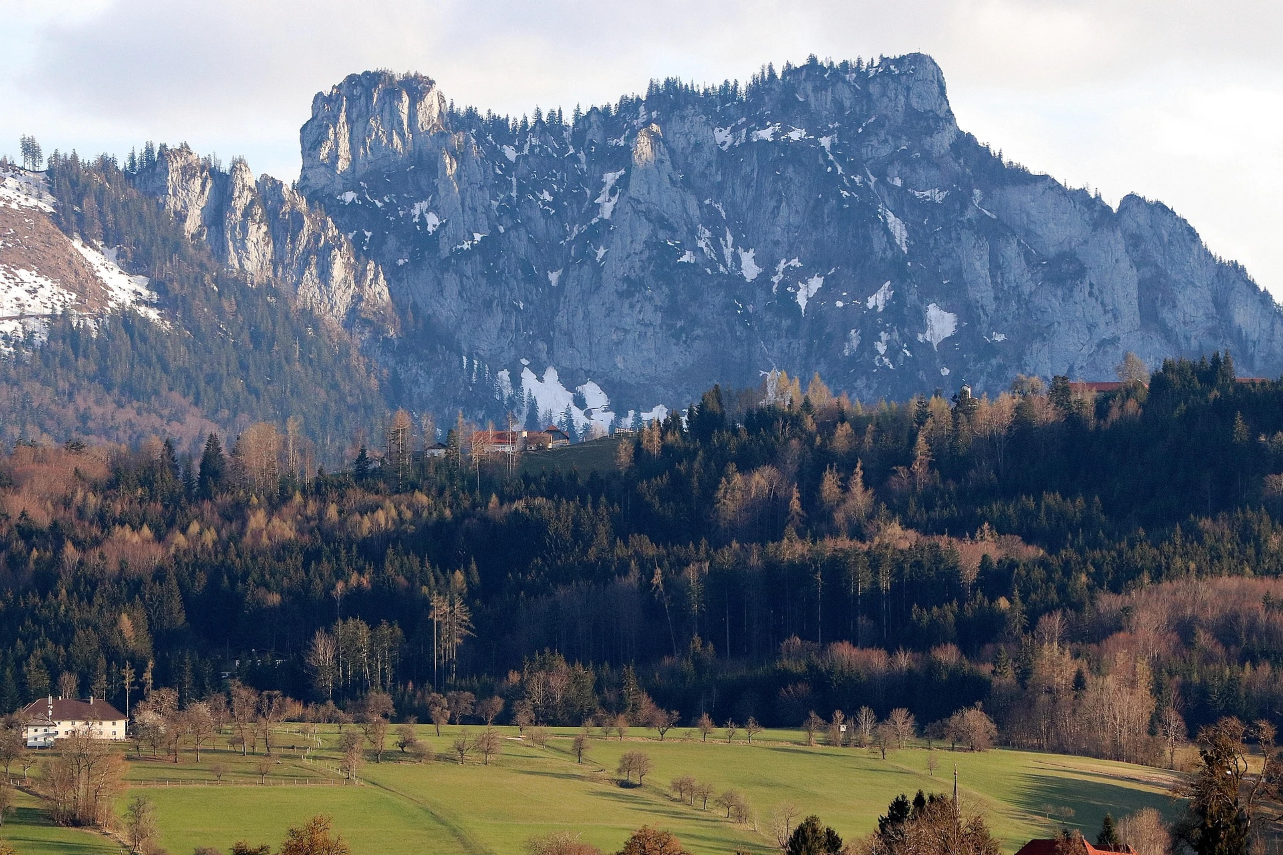 Bergbauernhof im Alpenvorland mit Wiesen und Wald