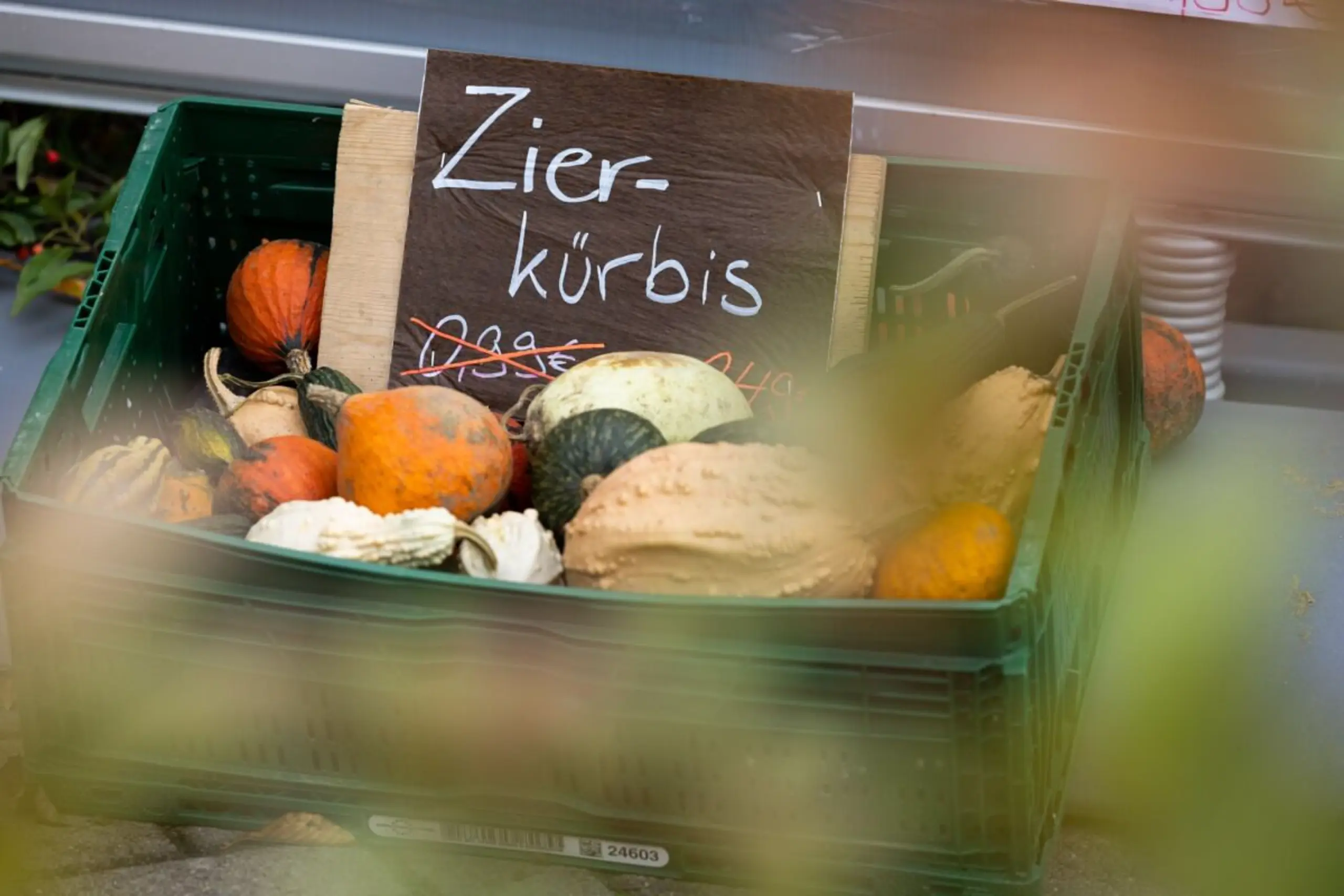 ++ ARCHIVBILD ++ Zierkürbisse können giftige Bitterstoffe enthalten