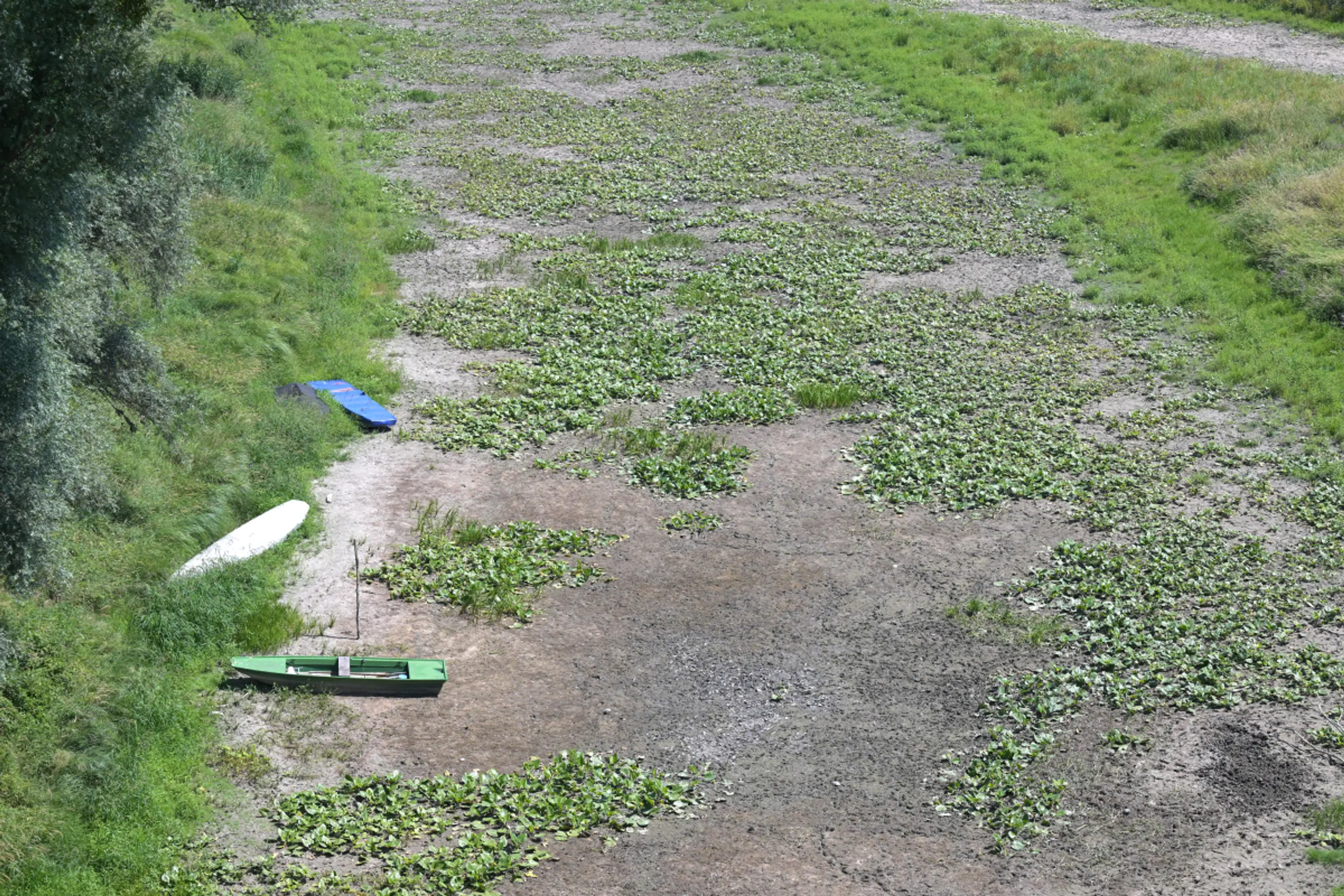 Entlang der Donau trockneten Seitenarme vielfach aus