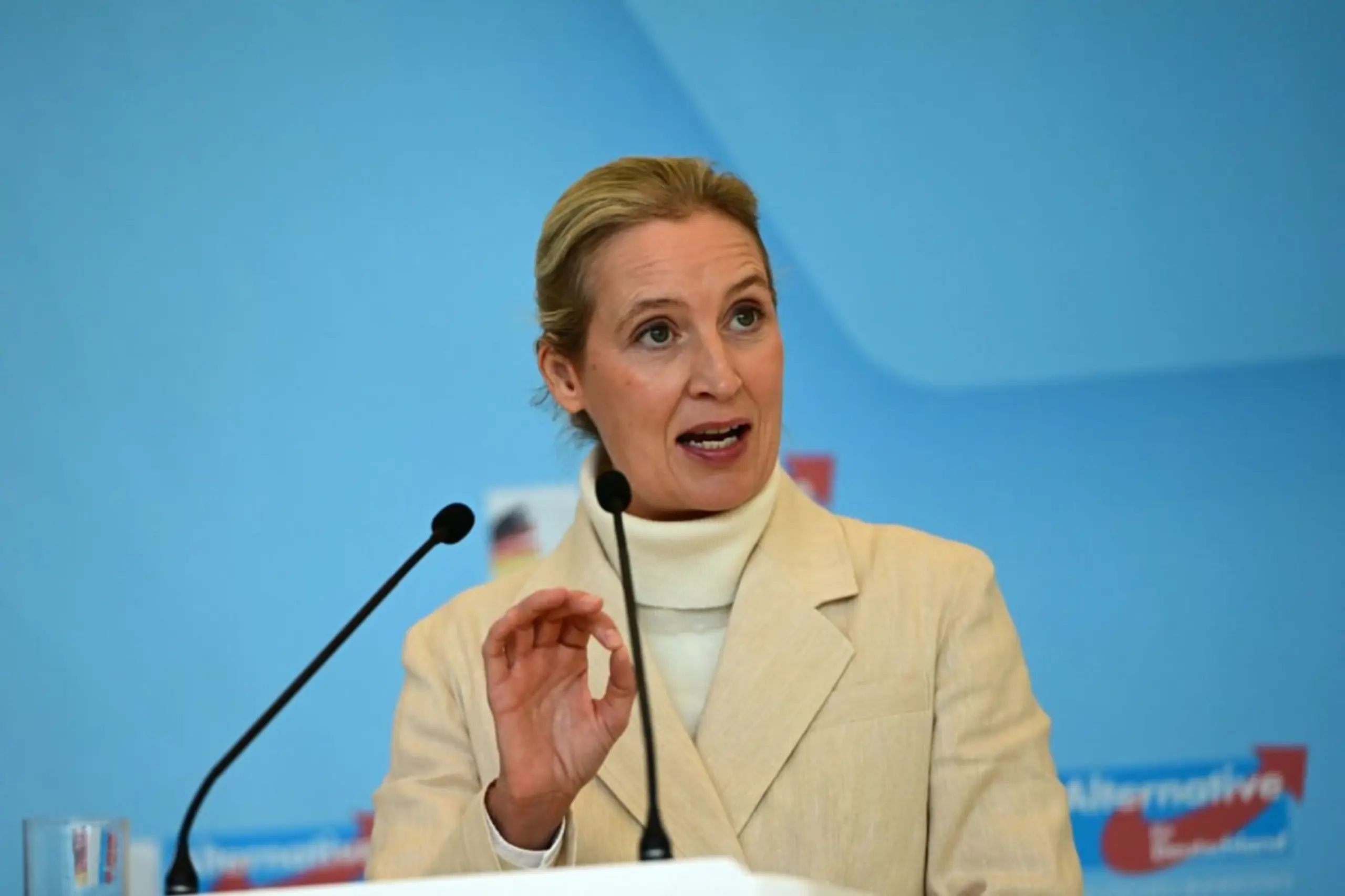 AfD-Chefin Weidel will mehr mit der FPÖ kooperieren