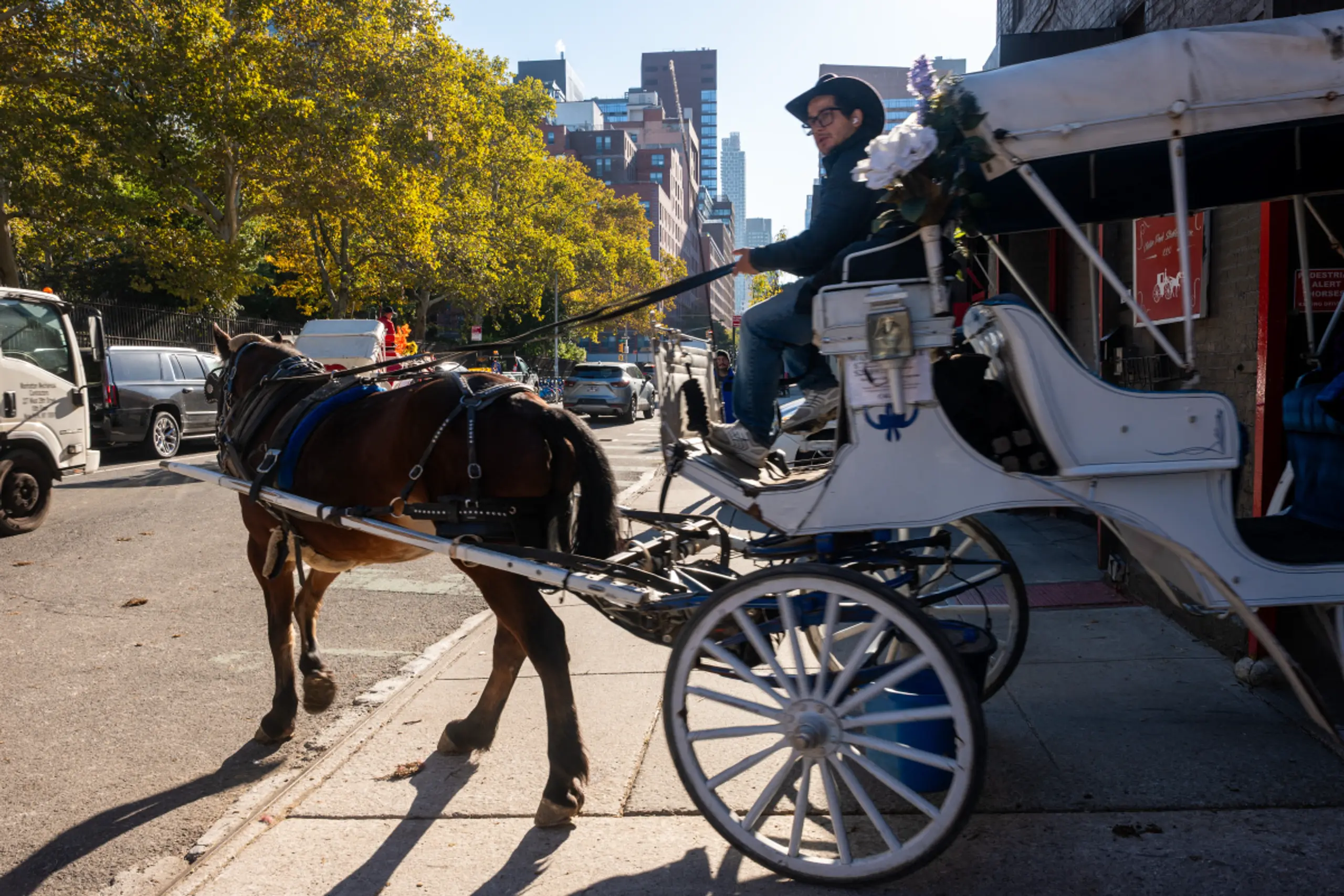 Seit 150 Jahren rollen Kutschen durch den Central Park