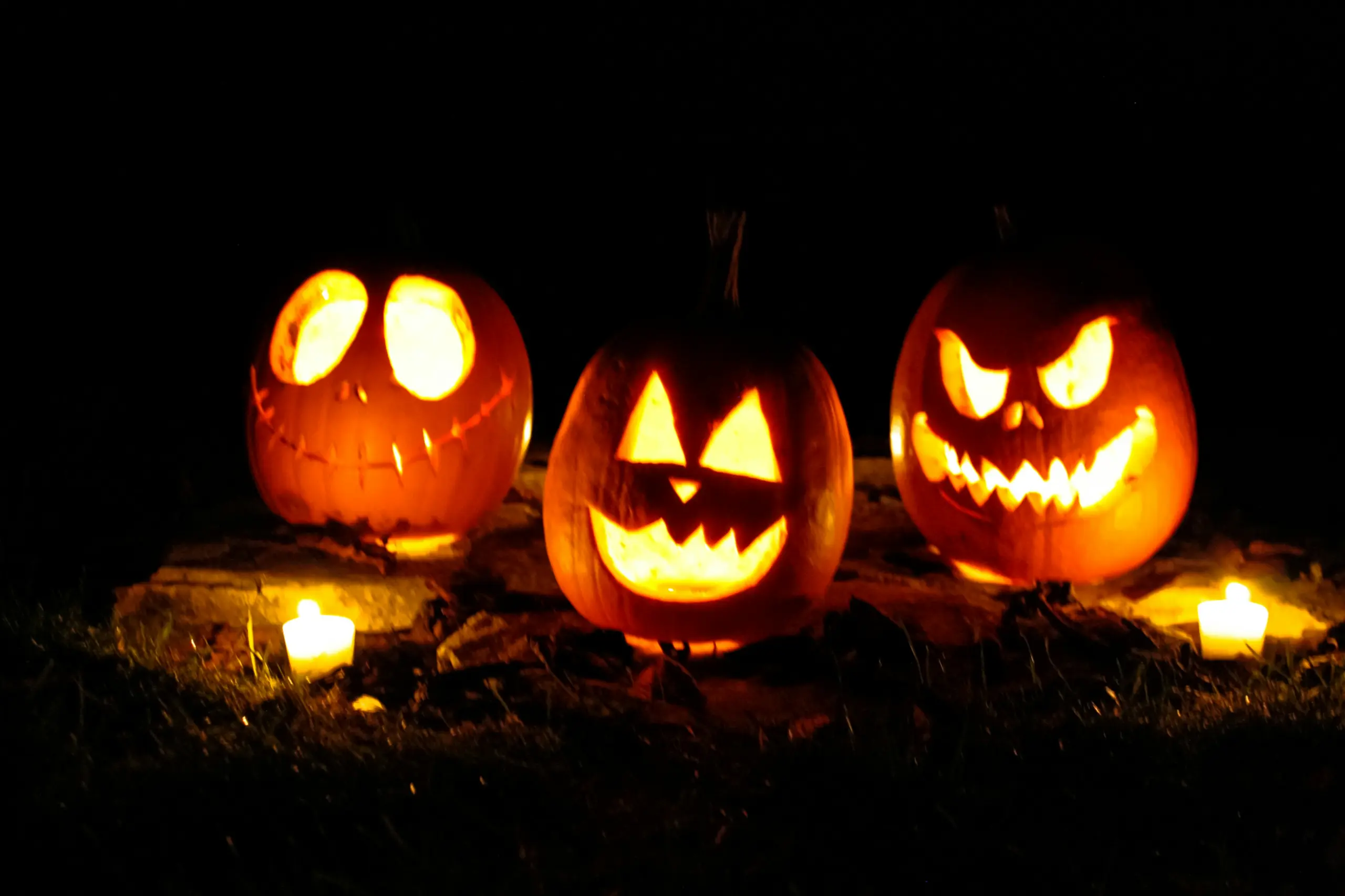 Geschnitzter Halloween-Kürbis auf Herbstlaub