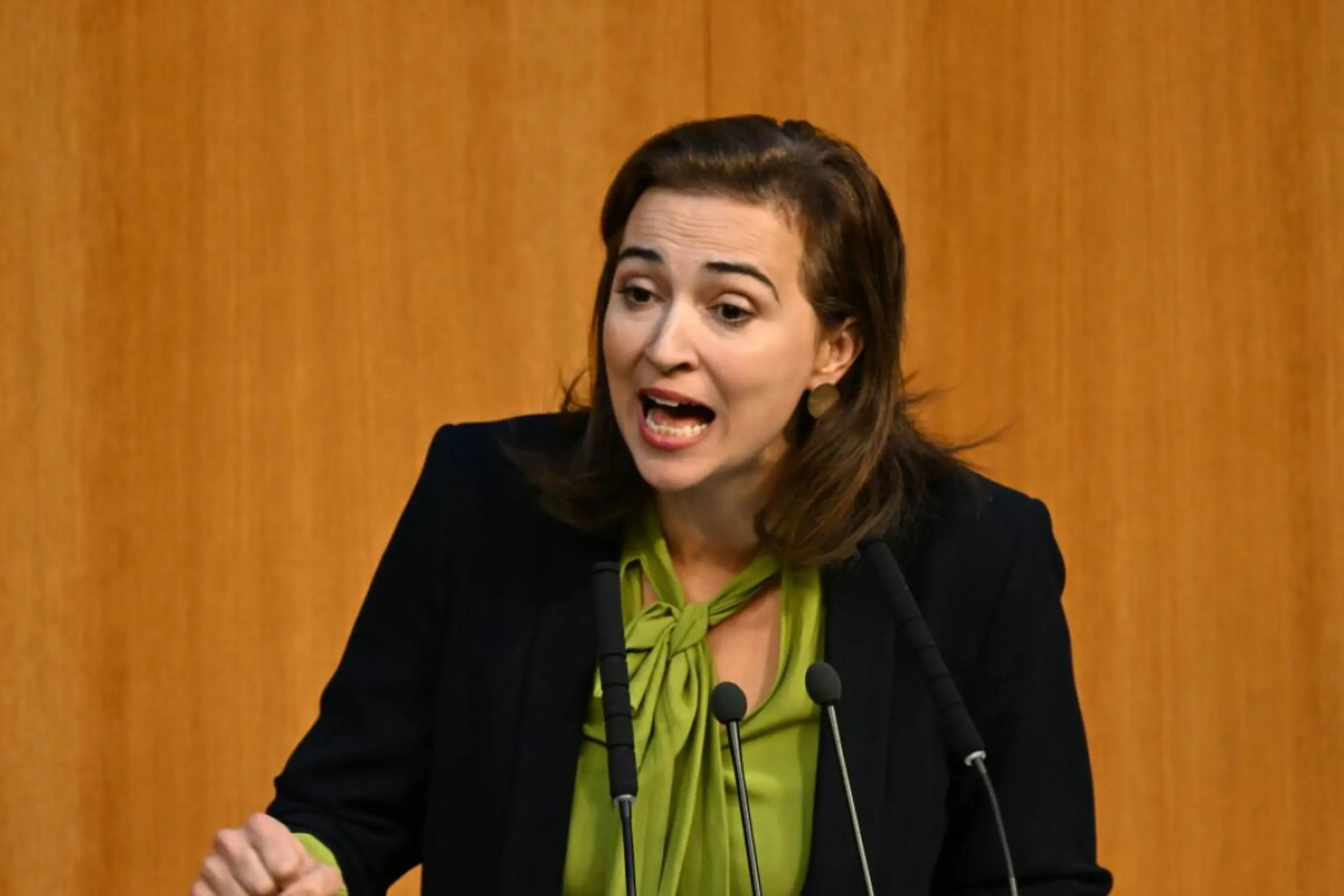 Zadic im Parlament